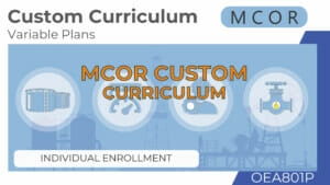 OEA801C-Custom Curriculum-Individual