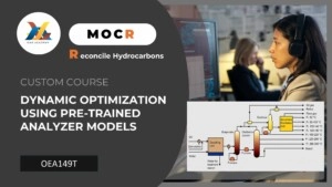 OEA149P-Dynamic optimization using pre-trained analyzer models