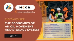 OEA47P-The Economics of an Oil Movement and Storage System