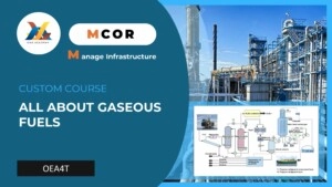 OEA4P-All About Gaseous Fuels