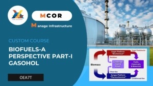 OEA7P-Biofuels-A Perspective ParP-i Gasohol