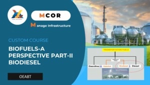 OEA8P-Biofuels-A Perspective ParP-ii Biodiesel